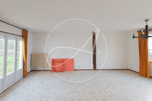 photo_01f7e79d9ed33d3be3dea0d3dc944194