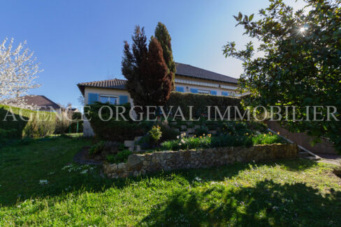 photo_07d7c36f112555ccb4eba0a47b853c0e