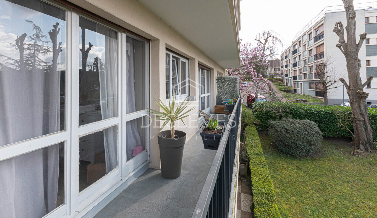 photo_3db0841ecaecb8b529ceefcc82527e07