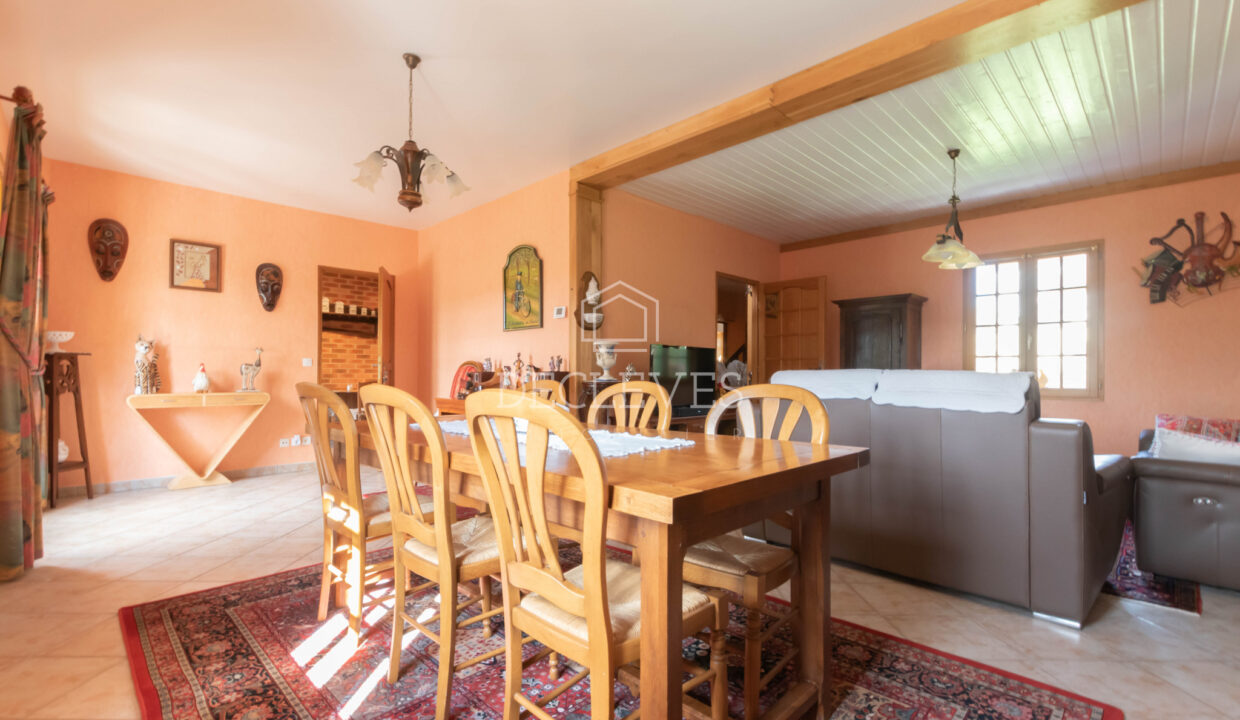 photo_5137cc924dae361ee997ad80ab273783