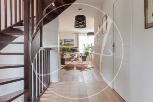 photo_96a25aa4c94765d3aa79fe7fbeaf1bdf