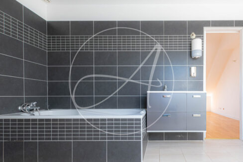 photo_ae369966e03801079ae0a3c69f57ac71