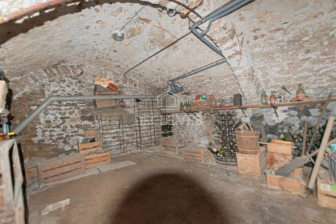 photo_b02ae0f9be5faa752d0fb17c8c94474f